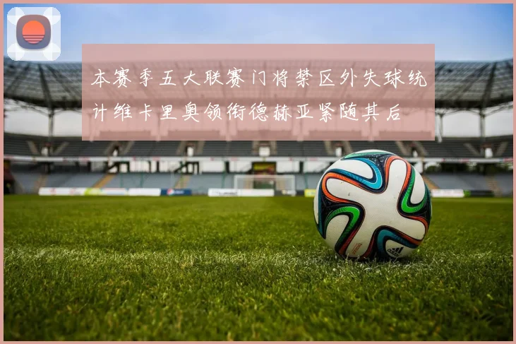 本赛季五大联赛门将禁区外失球统计维卡里奥领衔德赫亚紧随其后