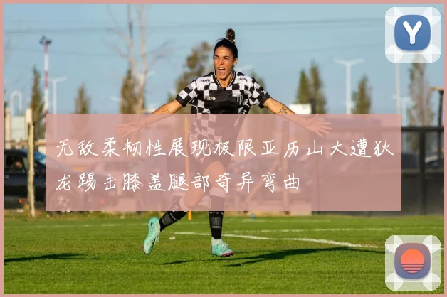无敌柔韧性展现极限亚历山大遭狄龙踢击膝盖腿部奇异弯曲