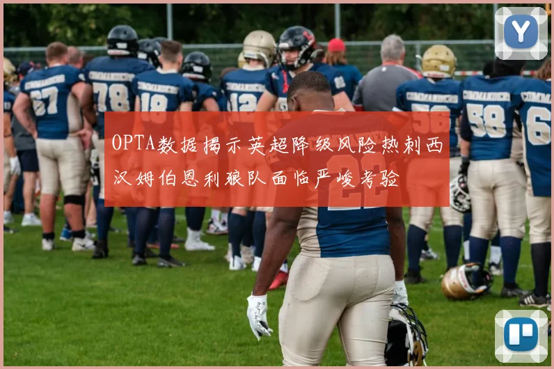OPTA数据揭示英超降级风险热刺西汉姆伯恩利狼队面临严峻考验